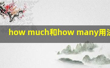 how much和how many用法的区别